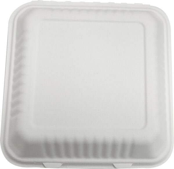 #120 Compostable Container 8/8/3" (200pcs)