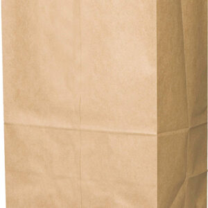 Paper Bag Carry All #17 12x7x17" (500pcs)