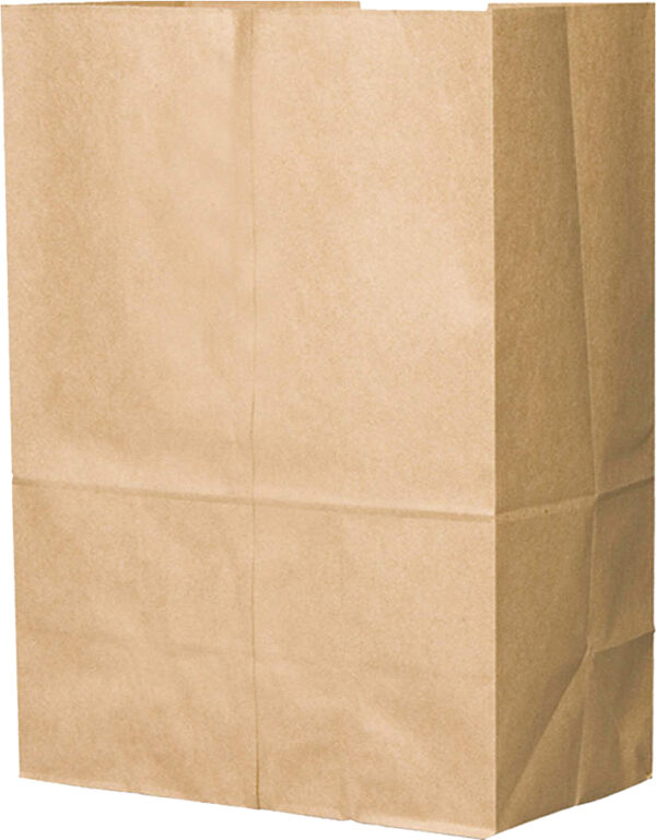 Paper Bag Carry All #17 12x7x17" (500pcs)